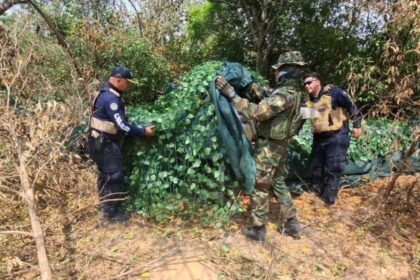 Desmantelan campamento logístico y pista clandestina de tráfico de drogas en Apure