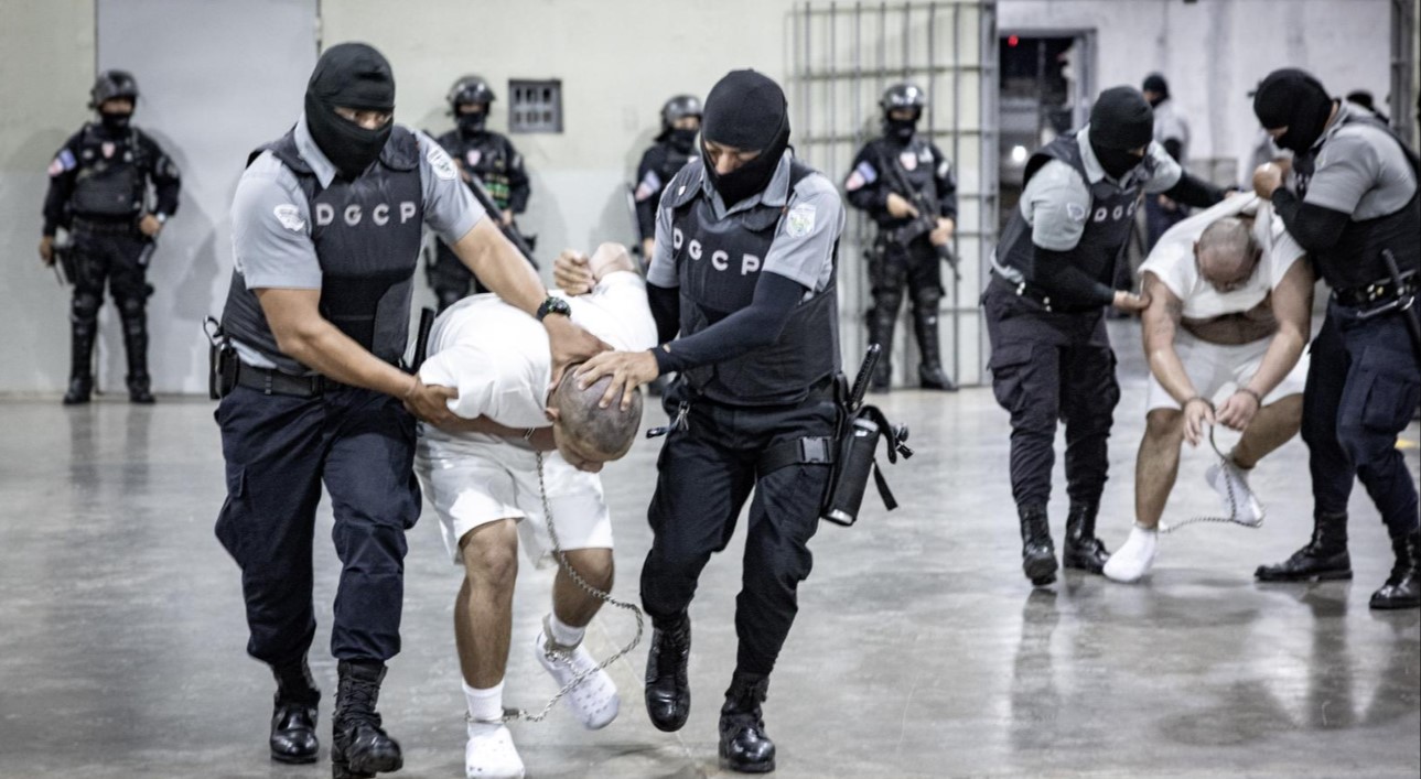 El Salvador recibe 238 miembros del Tren de Aragua tras deportación de EE.UU. El Salvador recibe 238 miembros del Tren de Aragua tras deportación de EE.UU.