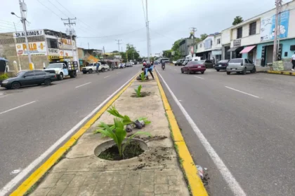 Plan de arborización “Ciudad Jardín” establecerá 2 mil plantas en Barcelona