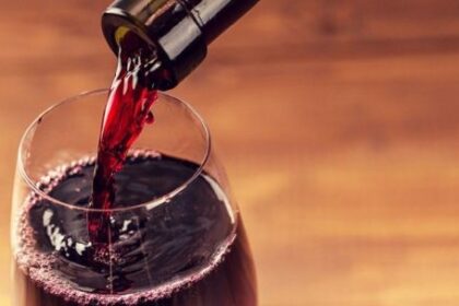“El Estado es el socio mayoritario”: la advertencia de COVIAR sobre la carga impositiva en el vino argentino