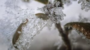 Nieve en Buenos Aires: las ciudades donde podría darse el fenómeno invernal