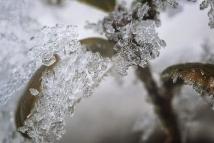 Nieve en Buenos Aires: las ciudades donde podría darse el fenómeno invernal
