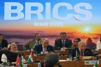 Los BRICS apuestan a la reforma del Consejo de Seguridad de la ONU