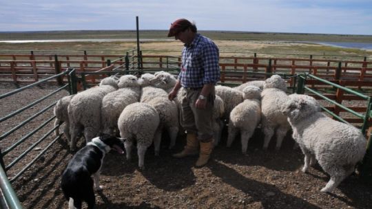 Productores de la Patagonia cargaron contra el Gobierno por el levantamiento de la barrera sanitaria: "Nos mintieron"