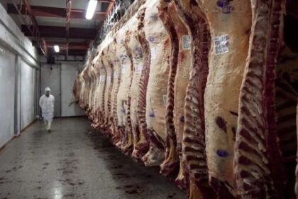 “La baja de precios de la carne en la Patagonia es dispar y aún no llegó al productor”