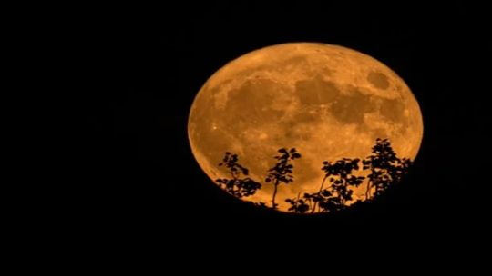 “Luna de Esturión”: por qué se llama así y cuándo será plenamente visible en Argentina