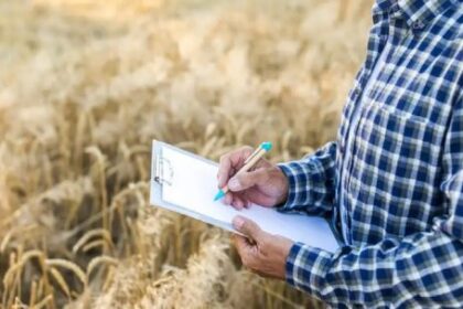 Panorama del mercado inmobiliario agrícola: “Los campos 100% agrícolas son los que tienen mayor demanda”