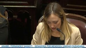 Furcio viral de Fernández Sagasti: "El Interbloque de Unión por la Plata se va a abstener…"