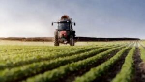 El campo liquidó 25% menos de divisas en agosto: ¿Cuánto se espera que exporte en el último trimestre?