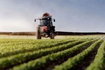 El campo liquidó 25% menos de divisas en agosto: ¿Cuánto se espera que exporte en el último trimestre?