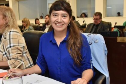 Diputados del PJ piden sanciones internas por el voto que archivó la cláusula gatillo docente en Chaco