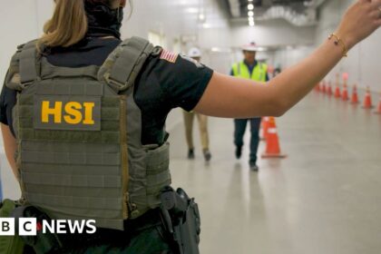 ICE raid on Hyundai plant in Georgia swept up workers on visitor visas