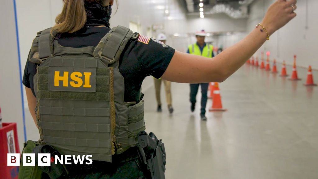 ICE raid on Hyundai plant in Georgia swept up workers on visitor visas ICE raid on Hyundai plant in Georgia swept up workers on visitor visas