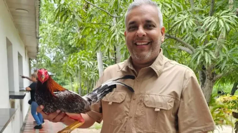 “Prohibir los gallos es una masacre cultural y laboral”: Jorge Alberto De la Hoz, voz del gremio gallero en el Caribe