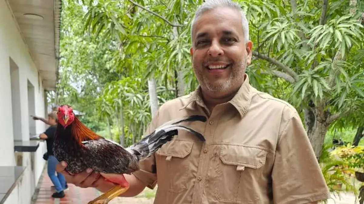 “Prohibir los gallos es una masacre cultural y laboral”: Jorge Alberto De la Hoz, voz del gremio gallero en el Caribe