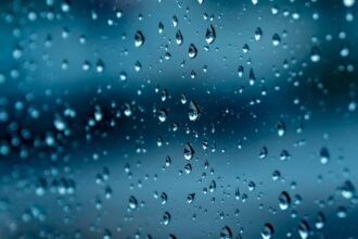 Clima hoy en Tampa, Estados Unidos: el pronóstico del tiempo para este domingo 7 septiembre de 2025