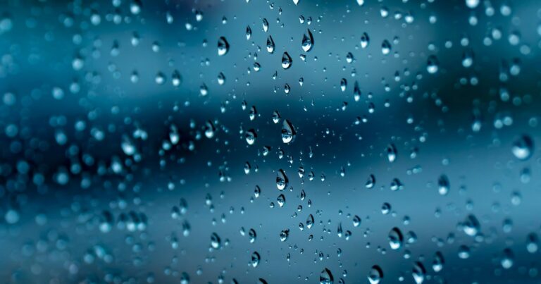 Clima hoy en Tampa, Estados Unidos: el pronóstico del tiempo para este domingo 7 septiembre de 2025