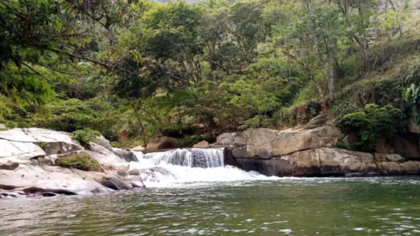Autoridad ambiental de Antioquia emitió alerta por la presencia de mercurio en ríos de San Carlos: incremento de la minería ilegal, entre las causas