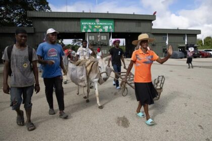 Más de 115.000 haitianos han salido voluntariamente de República Dominicana este año