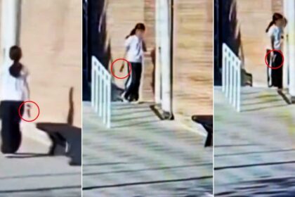 "¿Tiraste un chasquibum?": el dramático momento en que una alumna empezó a disparar en una escuela de Mendoza