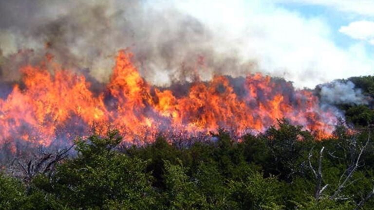 Perú extingue incendio forestal que amenazó reserva natural de los Andes del sur del país – AlbertoNews