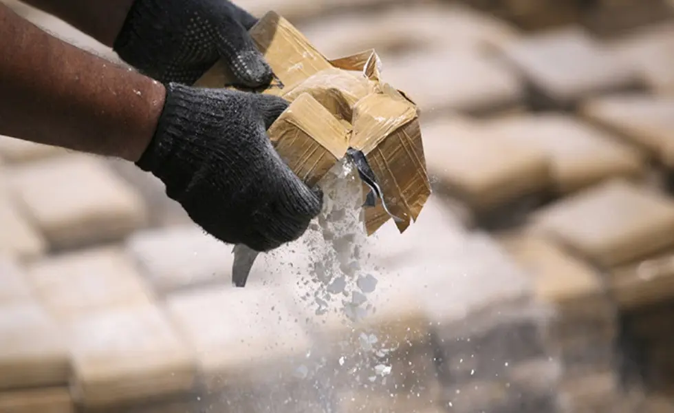 Incautan en Panamá 400 kilos de droga y aprehenden a una persona - AlbertoNews Incautan en Panamá 400 kilos de droga y aprehenden a una persona - AlbertoNews