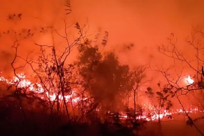 Reportan voraz incendio forestal en Dolores, Tolima; habitantes piden ayuda de los bomberos para sofocar las llamas: 'Hay nacimientos de agua'