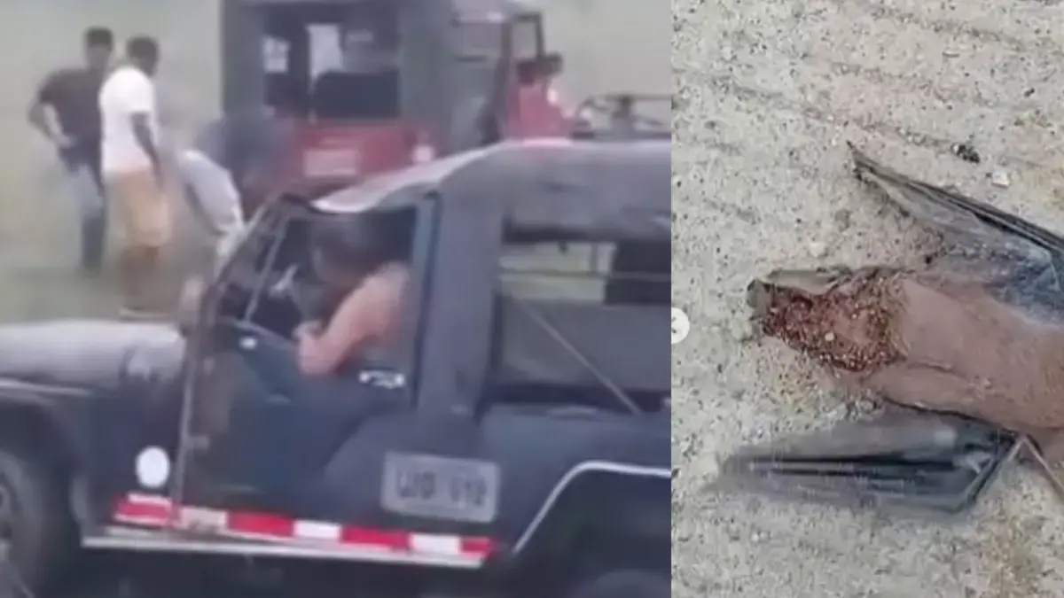 Murciélago habría ingresado a la cabina de un Willys, que se volcó mientras transportaba 21 estudiantes