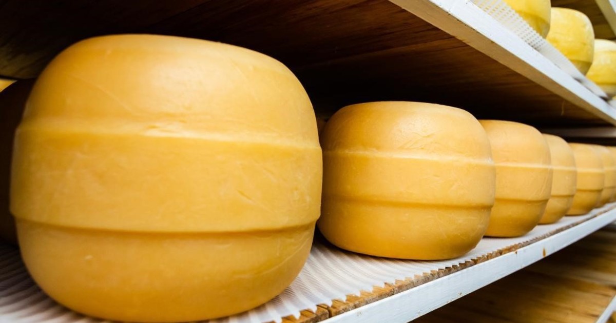 Un queso producido en Santa Fe ganó la medalla de plata en el Mundial de Suiza Un queso producido en Santa Fe ganó la medalla de plata en el Mundial de Suiza