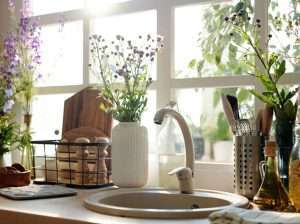 Plantas que inspiran