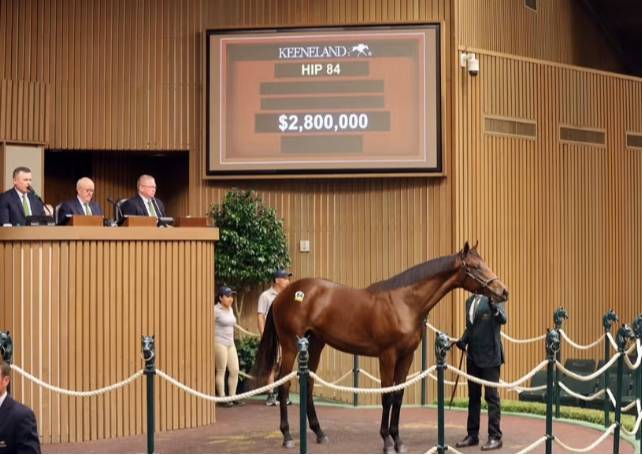 Hijos de Gun Runner destacan en la primera jornada de subastas