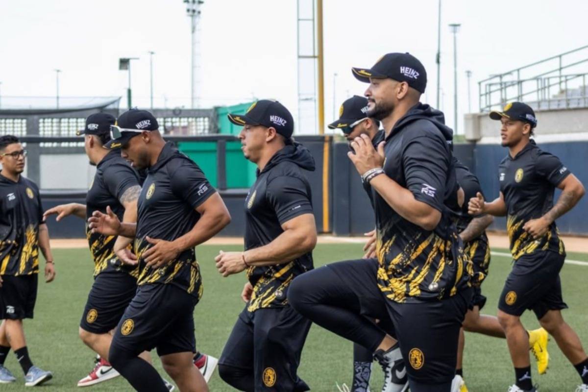 Leones anunció ocho lanzadores importados para el próximo torneo de la LVBP Leones anunció ocho lanzadores importados para el próximo torneo de la LVBP
