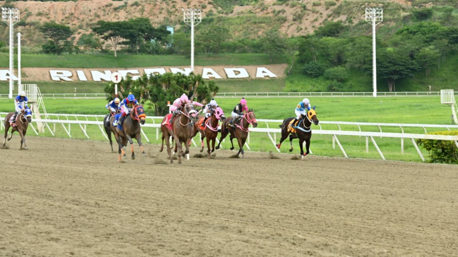 Clásico Victoreado reunirá ejemplares en La Rinconada este fin de semana