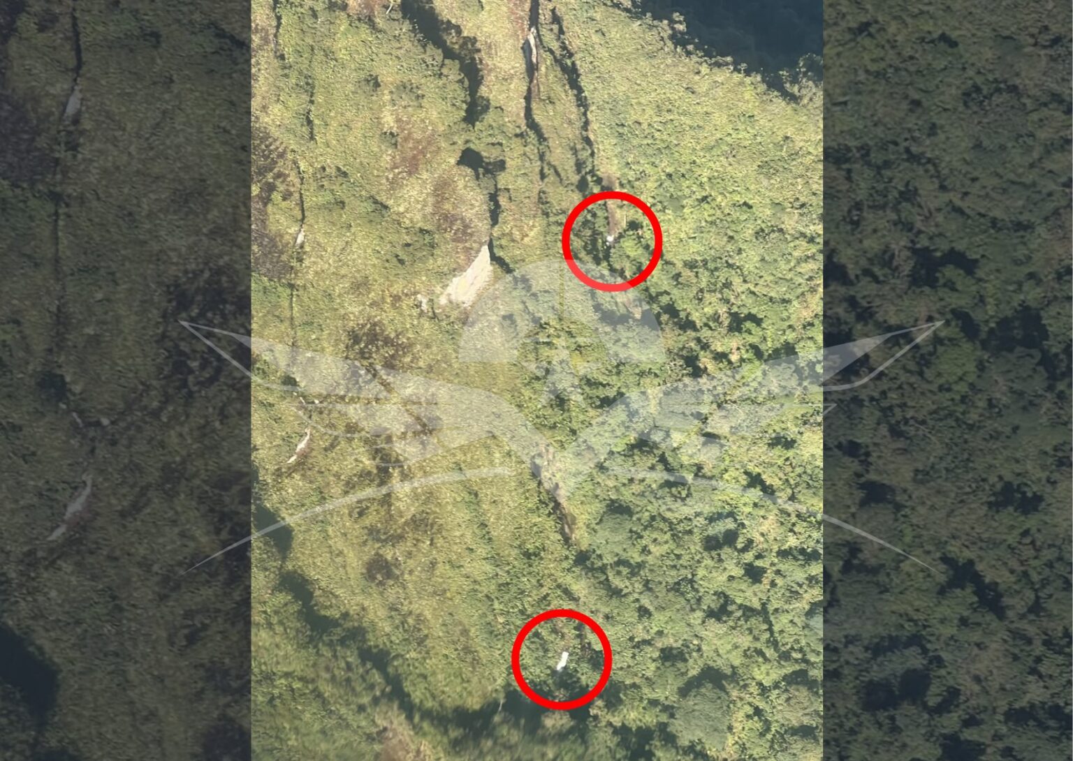 Localizan avioneta siniestrada en límites de Chocó y Risaralda