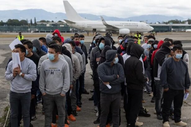 Expertos de la ONU denuncian expulsión de migrantes de Estados Unidos a terceros países