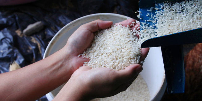 Gobierno dominicano elimina arancel de 20 % al arroz importado de Estados Unidos