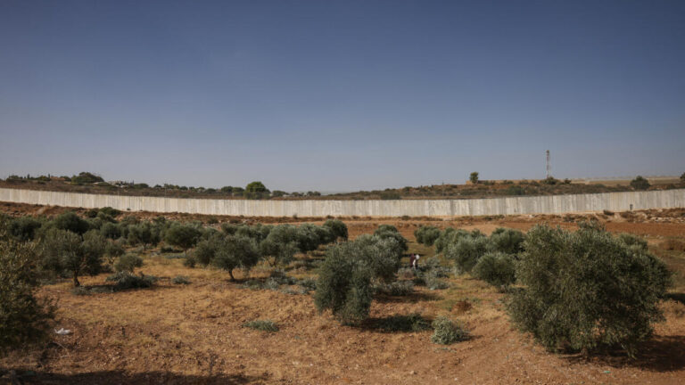 Diplomáticos en Taybeh: olivares palestinos junto al muro de separación en la Cisjordania ocupada