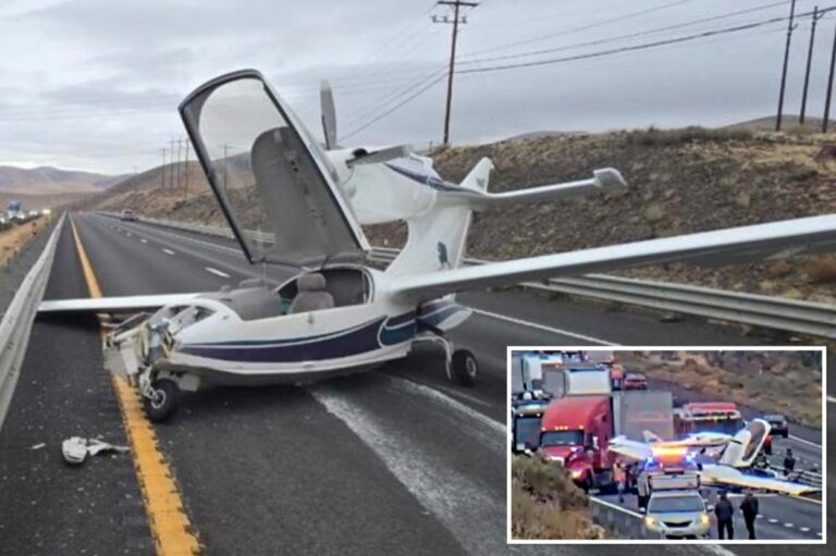 Avioneta en la I-80: la aeronave Seawind 3000 detenida sobre la autopista cerca de Patrick, Nevada, con la cabina abierta tras el aterrizaje de emergencia