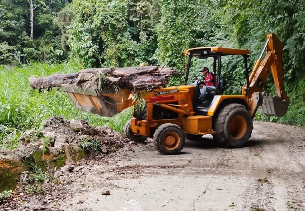 Una retroexcavadora retira un tronco y sedimentos de la carretera Maracay-Choroní durante los trabajos de recuperación