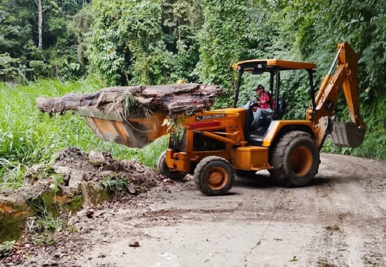 Una retroexcavadora retira un tronco y sedimentos de la carretera Maracay-Choroní durante los trabajos de recuperación