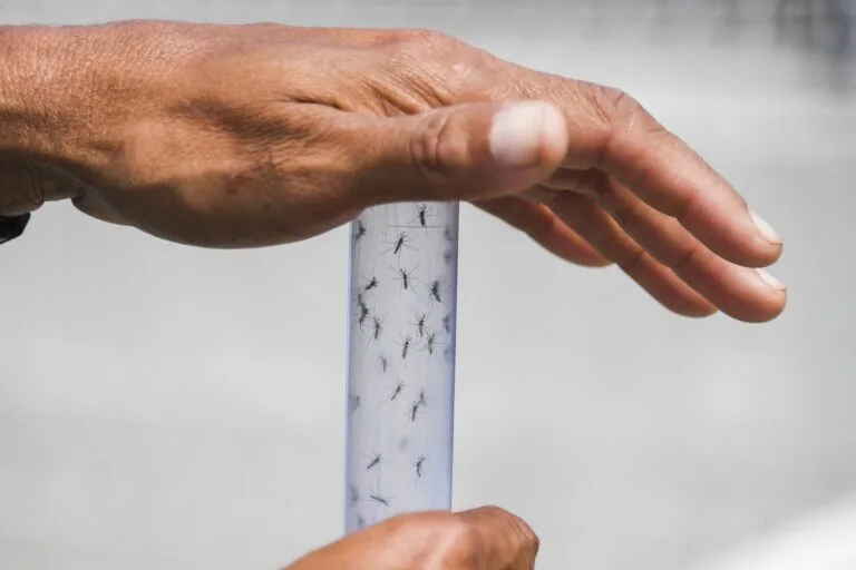 Ministerio de Salud declara alerta sanitaria nacional por El Niño