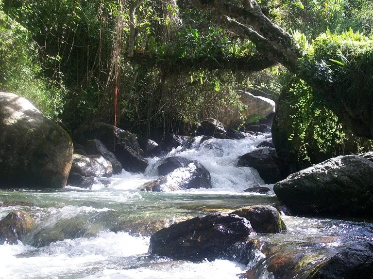 El río Chama a su paso por el Parque La Mucuy, en Tabay, Mérida, el cauce cuyo desbordamiento anegó viviendas en Tabay