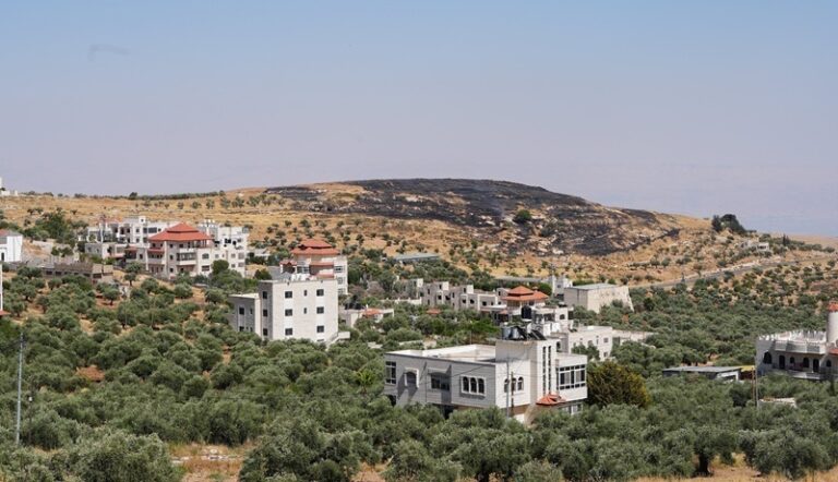 Vista de Taybeh y sus olivares durante las detenciones en Cisjordania por los ataques de colonos