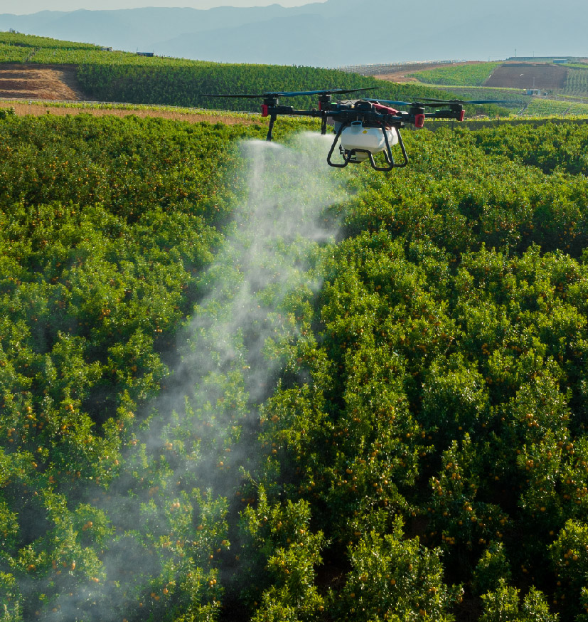 Dron agrícola fumiga un cultivo: regresan los drones en Venezuela al sector agropecuario