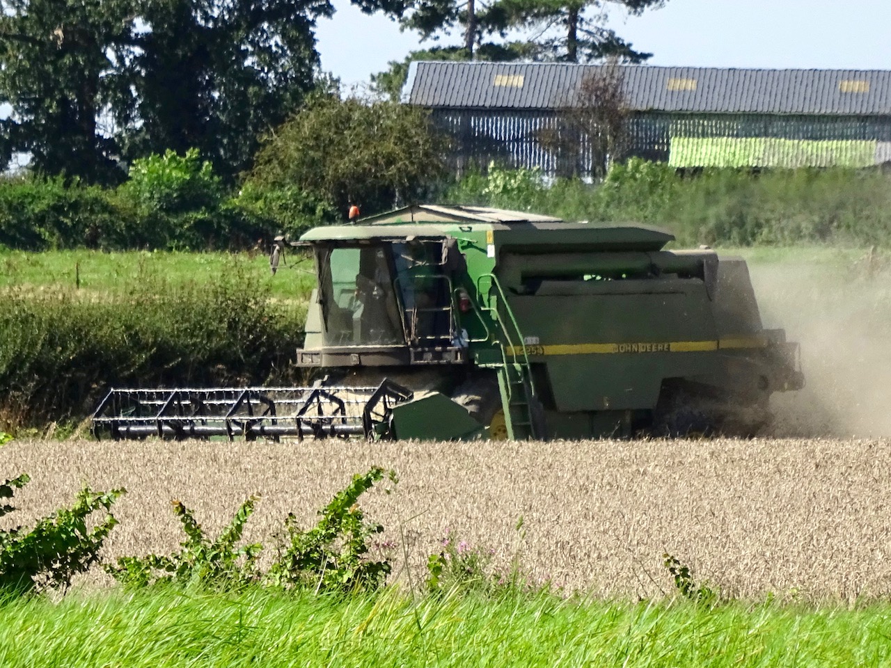 El G7 destinará 2.500 millones de dólares para países en riesgo de inseguridad alimentaria Cosechadora trabajando en un campo de trigo, el grano básico amenazado por la inseguridad alimentaria