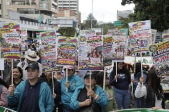 Paro nacional en Colombia: maestros manifestantes con pancartas durante la marcha en Bogotá