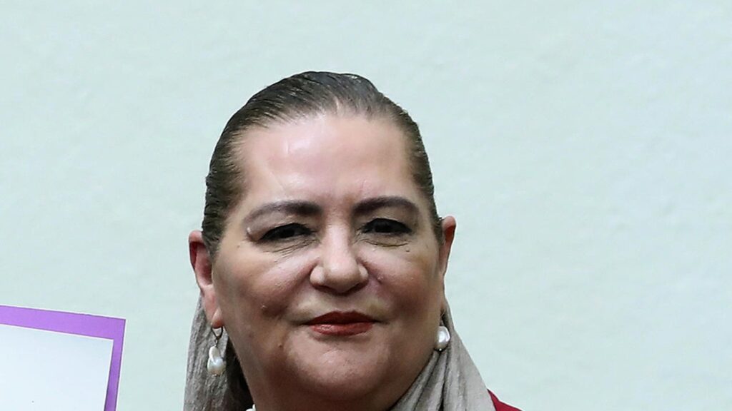 Guadalupe Taddei renuncia al INE: retrato de la consejera presidenta del Instituto Nacional Electoral de Mexico