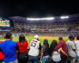 Aficionados en un juego de los Leones del Caracas en la LVBP, en la previa de los juegos LVBP hoy