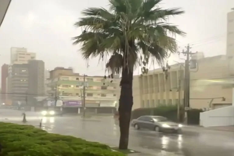 Aguacero con ráfagas de viento causó daños en Maracaibo
