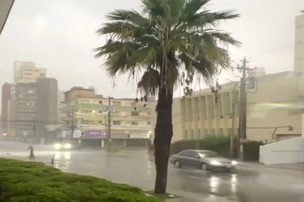 Aguacero con ráfagas de viento causó daños en Maracaibo